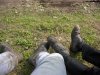 IM004462_JPG