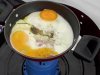 IM008597_jpg